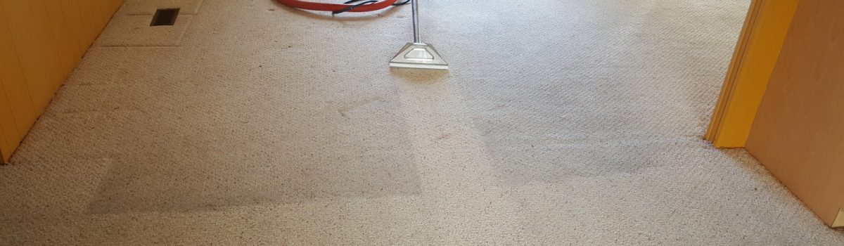 Benefits-of-Hiring-a-Carpet-Cleaning-Company.jpg