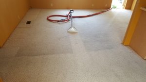 Benefits-of-Hiring-a-Carpet-Cleaning-Company.jpg